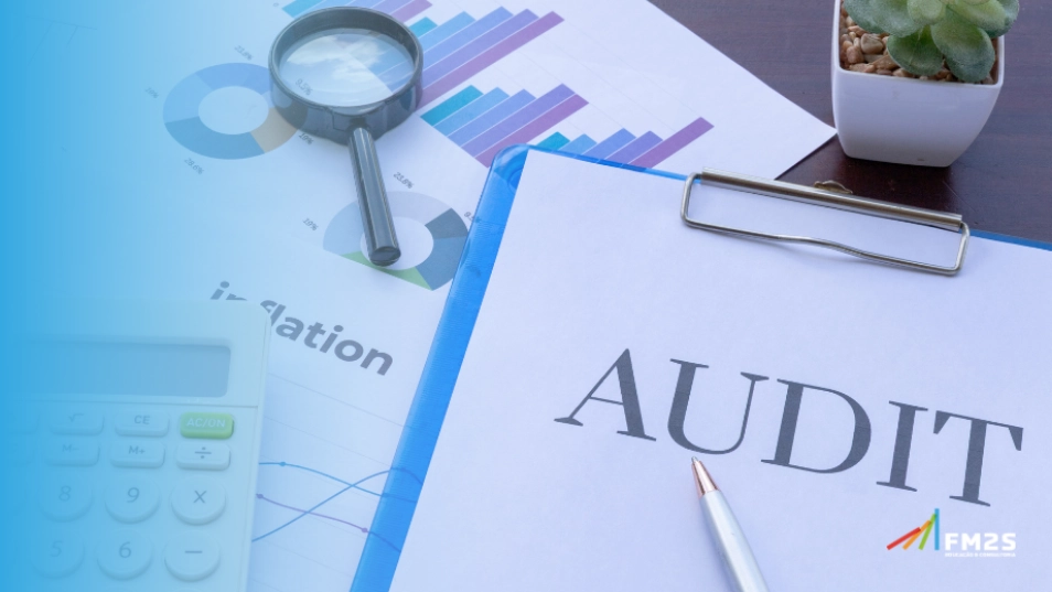 Auditor de Controle Externo