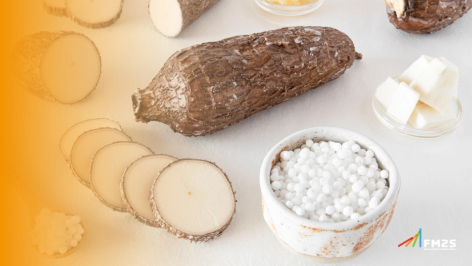 A Lição da Tapioca: Lean Seis Sigma na Prática