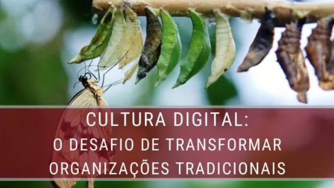 Cultura Digital: o desafio de transformar Organizações Tradicionais