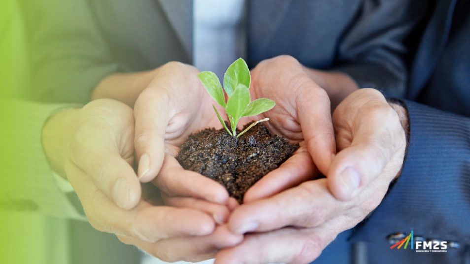 duas pessoas segurando uma planta