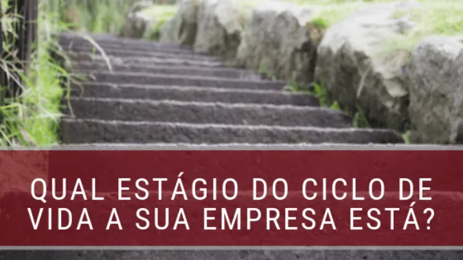 Quais os estágios do ciclo de vida das empresas?