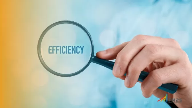 Eficiencia-eficacia