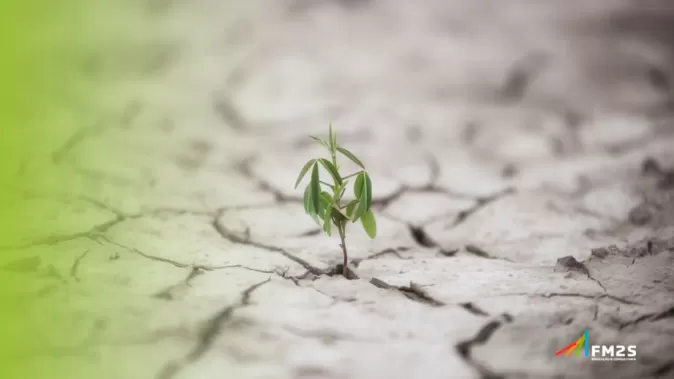 Resiliência: entenda o que é e como desenvolver