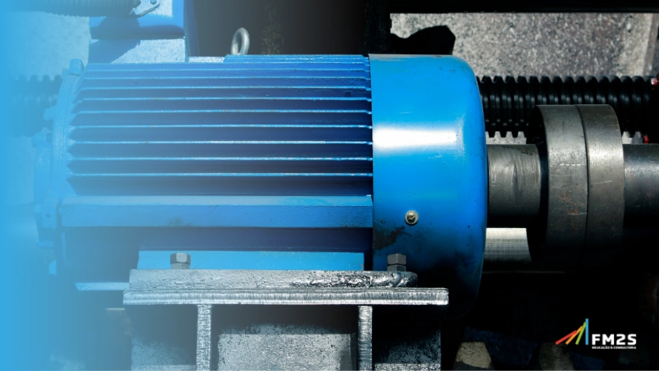 WEG Management System