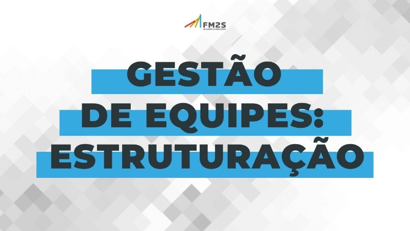 Fm2 s curso completo gestão de projetos